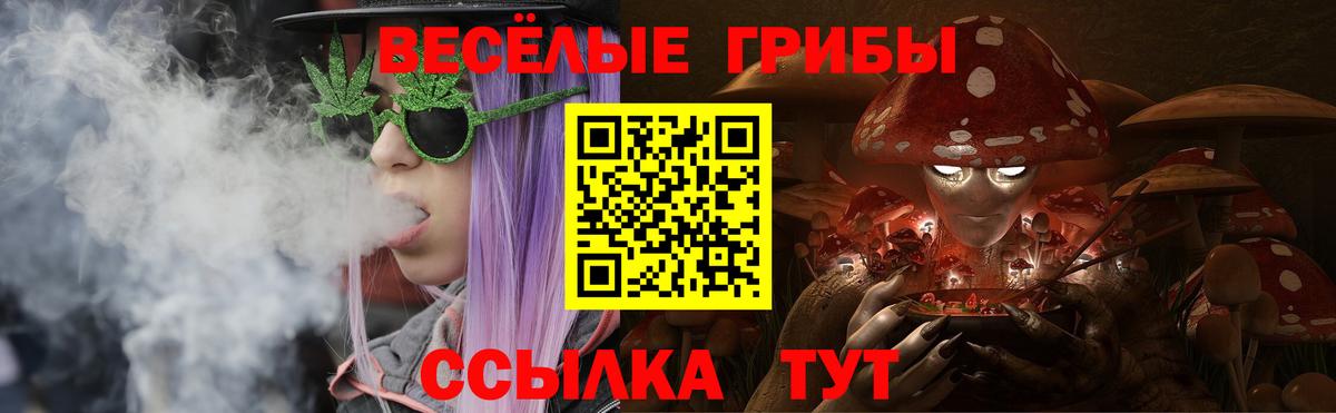 Псилоцибиновые грибы прущие грибы  Вход с VPN  Кизилюрт 
